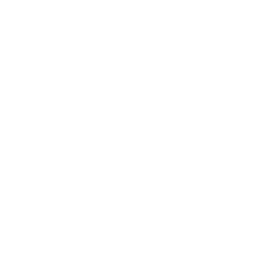 sessy logo white